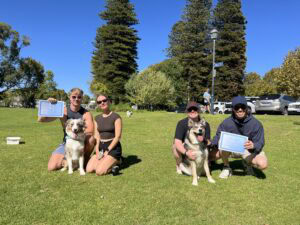 Happy dog owners with certificates and their dogs outdoors in a park.