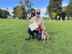 Dog training session outdoors with a woman and her dog in a park.