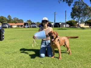 Woman with a brown dog during agility training in a park.