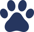 Professional dog training class with Agile Dogs in Lynwood for better behavior.