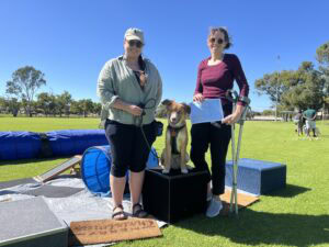 Agile Dogs agility training with two women and a dog outdoors in a park setting.