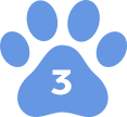 Professional dog training class in Lynwood by Agile Dogs for better behavior.