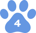 Professional dog training class in Lynwood by Agile Dogs for better behavior.
