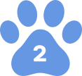 Professional dog training classes in Lynwood by Agile Dogs for better behavior.