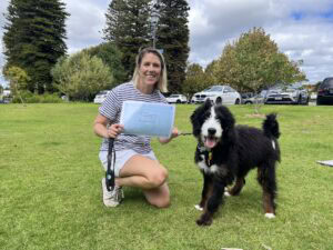 Woman training her Border Collie in a park during a dog training session.
