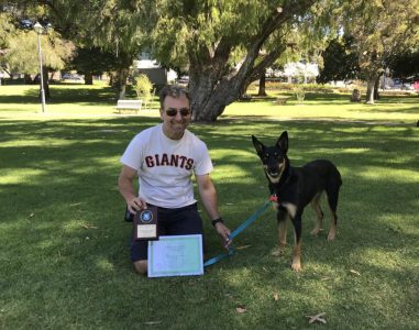 Man with a German Shepherd dog in a park, celebrating success in dog training.