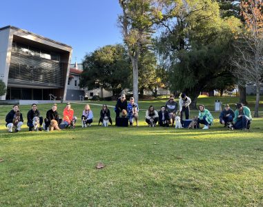 Dog training class outdoors in a park setting with dogs and trainers participating.