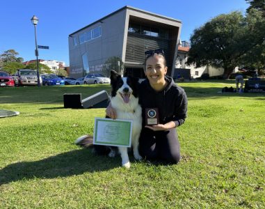 Agile Dogs training certification with a Border Collie in a park setting.