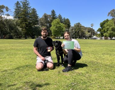 Happy dog with owners in a park during training session, sunny day, lush green grass.