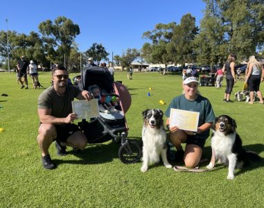 Agile Dogs training event with dogs and handlers outdoors on a sunny day.