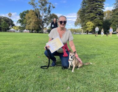 Woman with dog at agility training in a park, sunny day, outdoor activity.