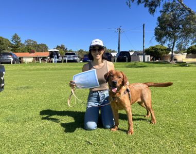 Woman with a brown dog during agility training in a park.