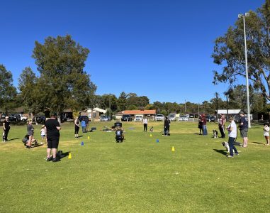 Dog agility training class outdoors on a sunny day with participants and their dogs.