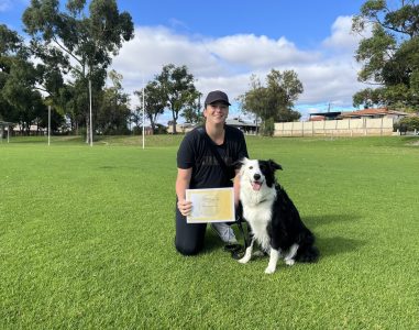 Woman with Border Collie during dog training session in park.