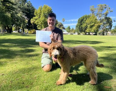 Happy man with certificate and his dog in park, celebrating training success.