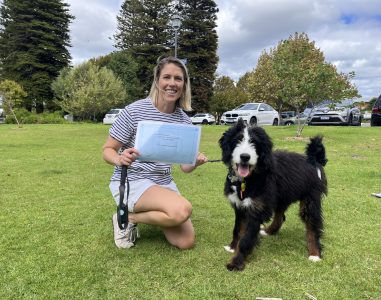 Woman training her Border Collie in a park during a dog training session.